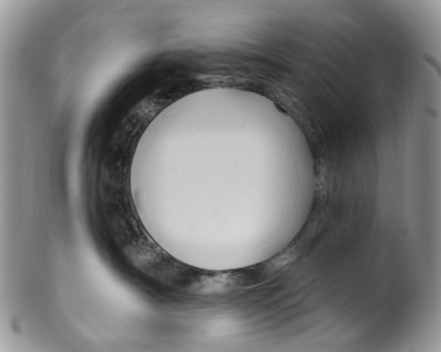 X0000099500430200806051127