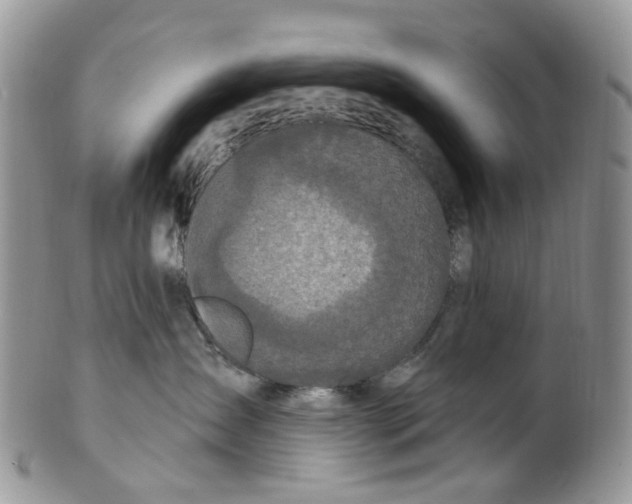 X0000099500431200806051127