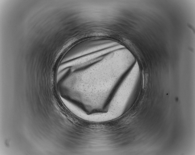 X0000099500435200806051127