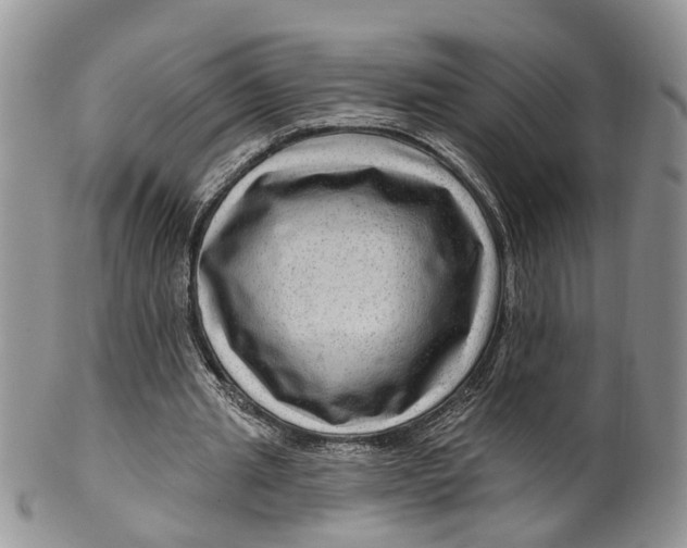 X0000099500437200806051127