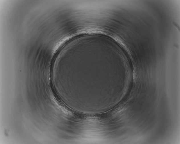 X0000099500438200806051127