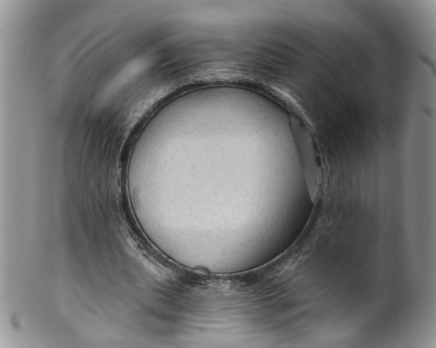 X0000099500439200806051127