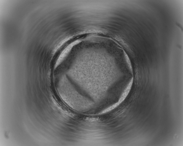 X0000099500440200806051127