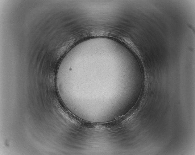 X0000099500441200806051127