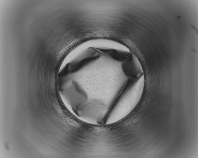 X0000099500442200806051127