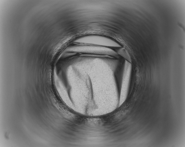 X0000099500446200806051127