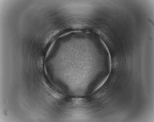 X0000099500448200806051127