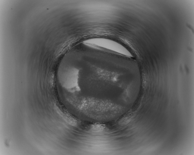 X0000099500451200806051127