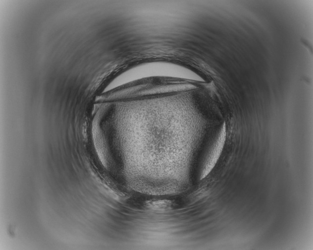 X0000099500452200806051127