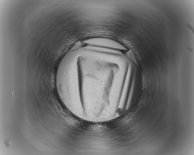 X0000099500453200806051127