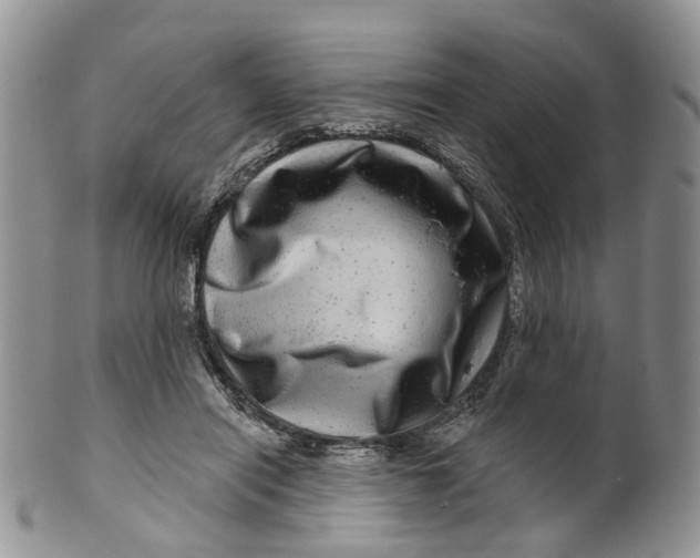 X0000099500454200806051127