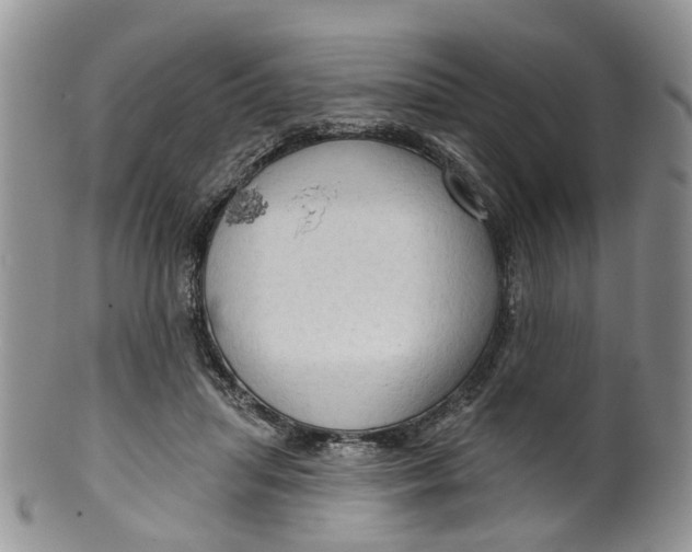 X0000099500455200806051127