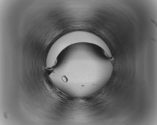 X0000099500456200806051127