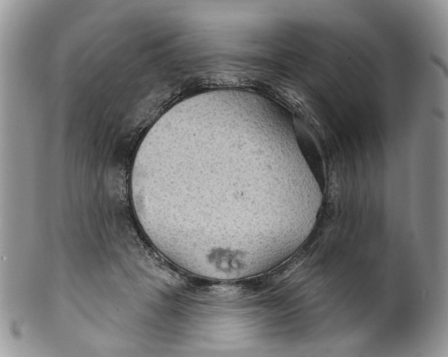 X0000099500457200806051127