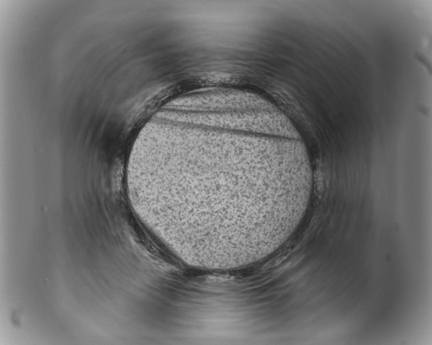 X0000099500458200806051127