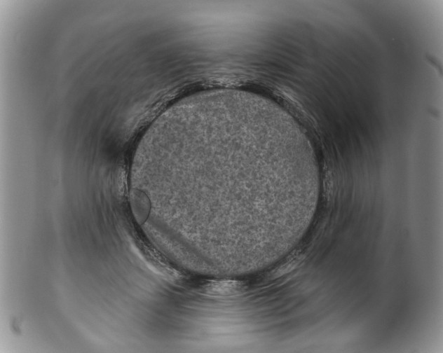 X0000099500459200806051127