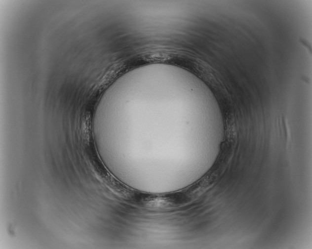 X0000099500460200806051127