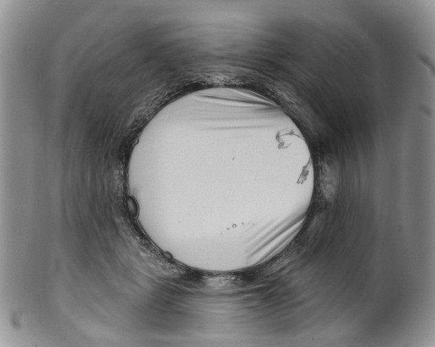 X0000099500461200806051127