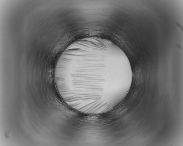 X0000099500462200806051127