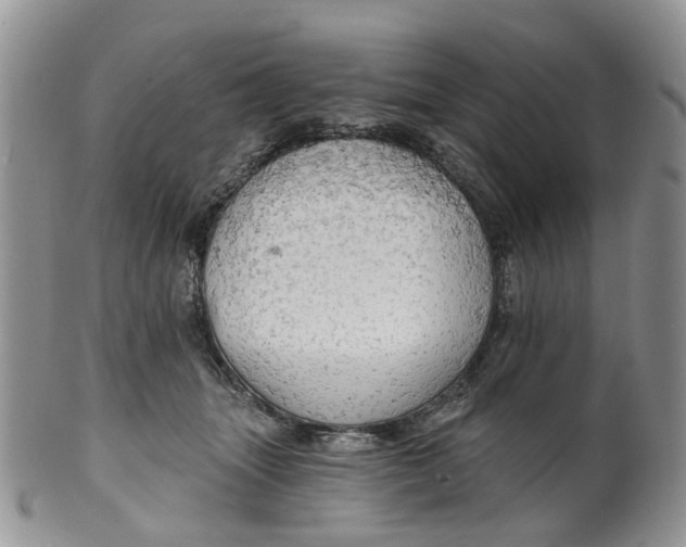 X0000099500463200806051127