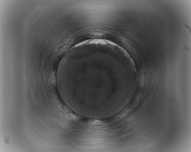 X0000099500467200806051127