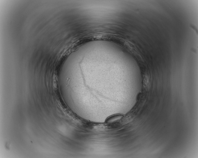 X0000099500470200806051127