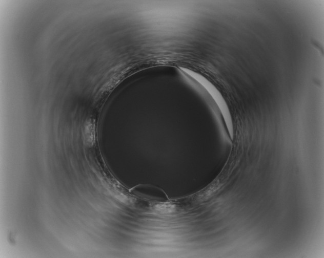 X0000099500471200806051127