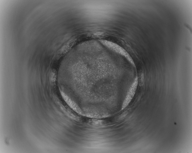 X0000099500472200806051127