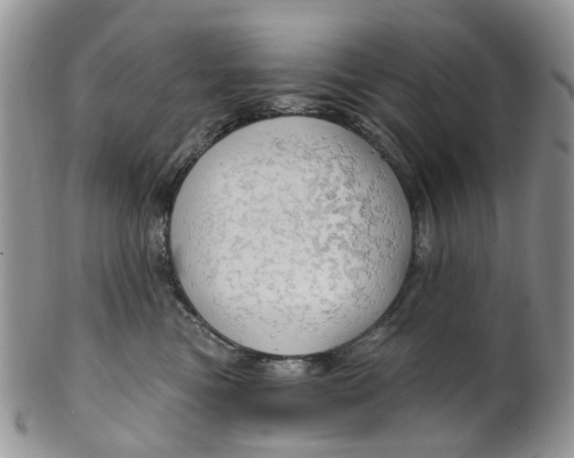 X0000099500473200806051127