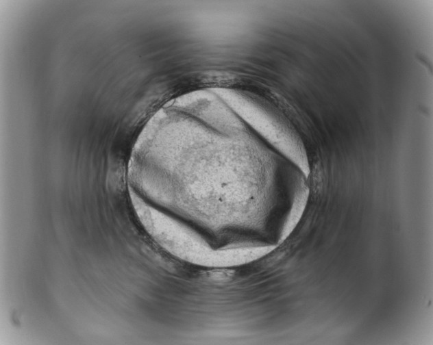 X0000099500474200806051127