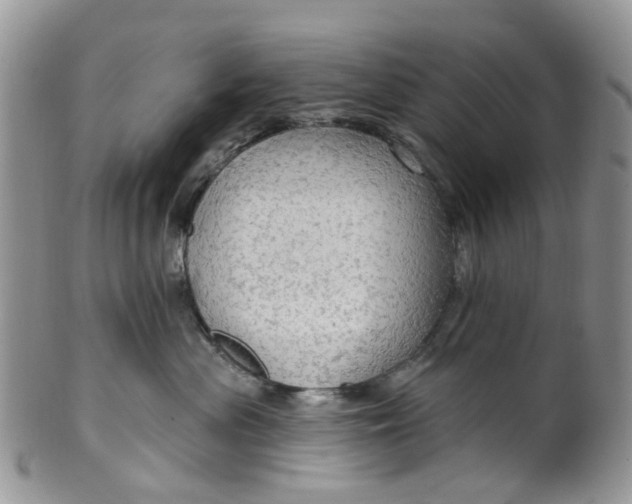 X0000099500477200806051127