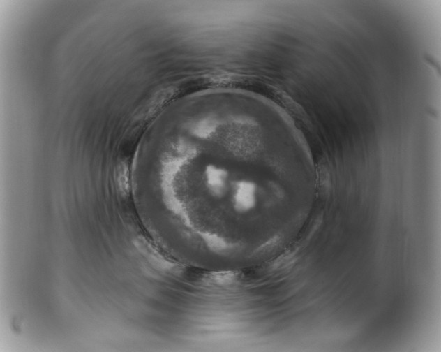 X0000099500479200806051127