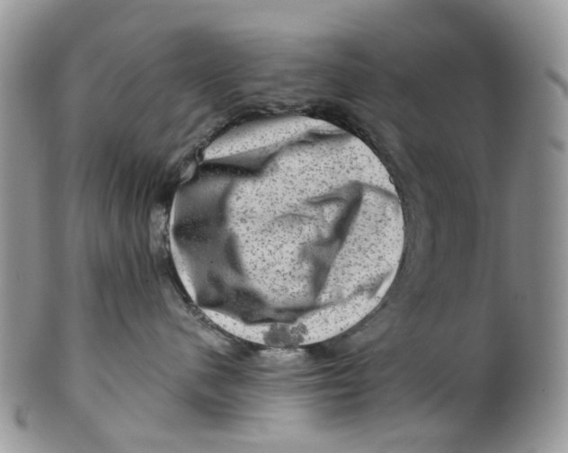 X0000099500480200806051127