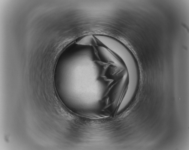 X0000099500481200806051127