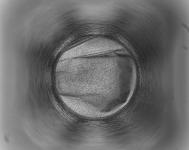 X0000099500482200806051127