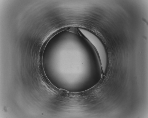 X0000099500484200806051127