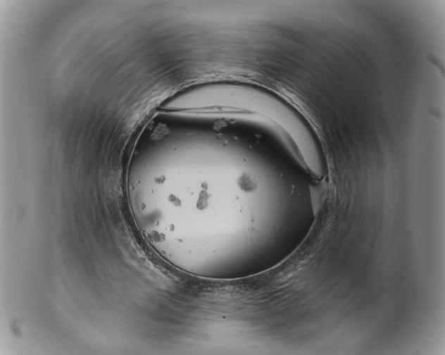 X0000099500485200806051127