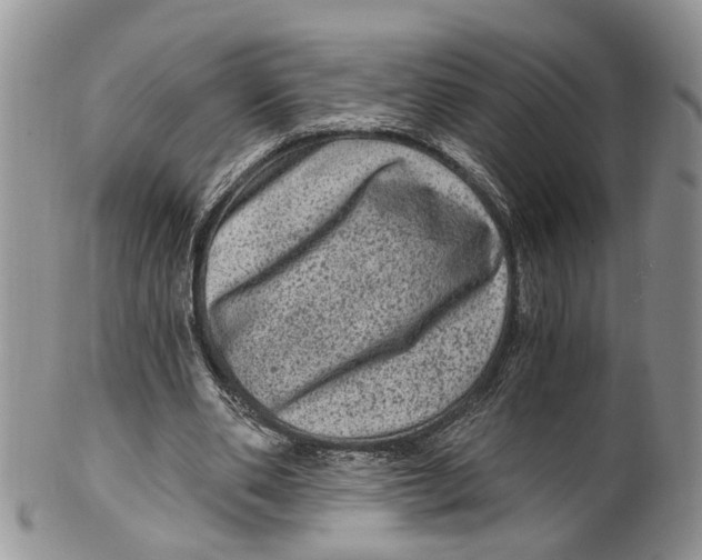 X0000099500486200806051127