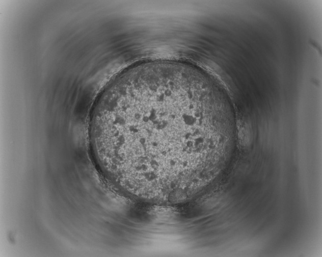 X0000099500487200806051127