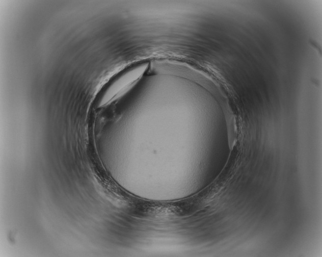 X0000099500488200806051127