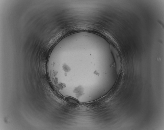 X0000099500489200806051127