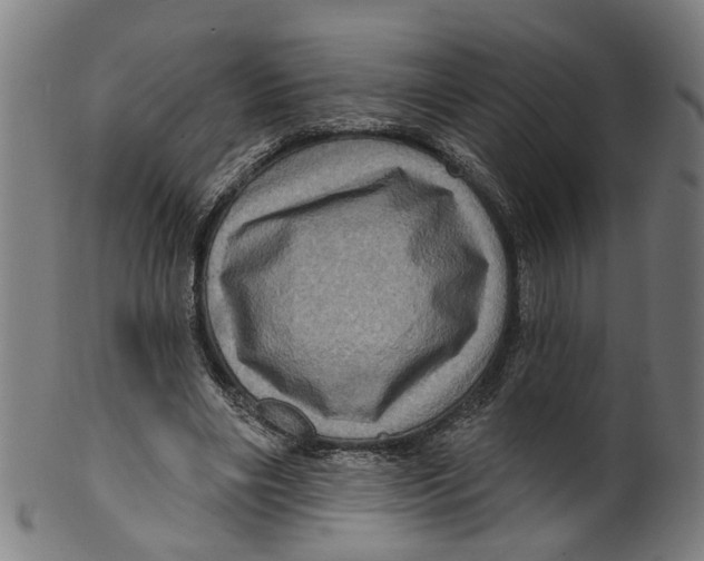 X0000099500490200806051126