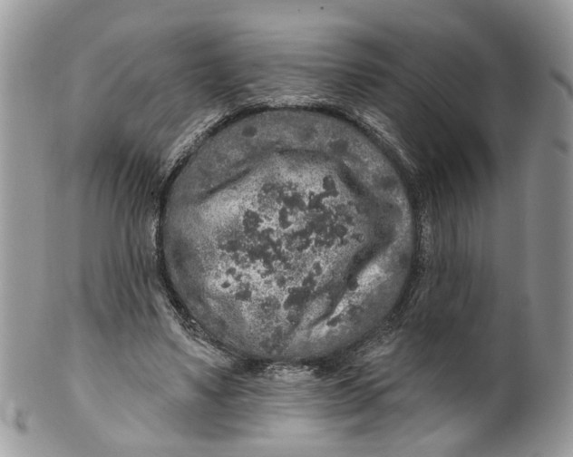 X0000099500491200806051126