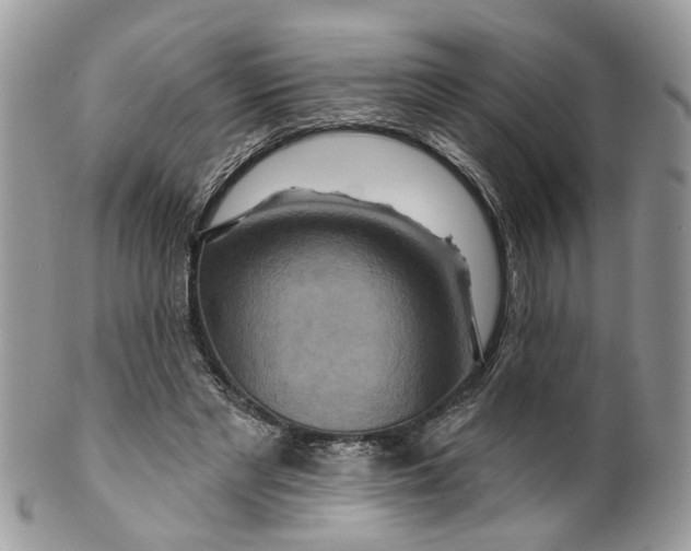 X0000099500493200806051126