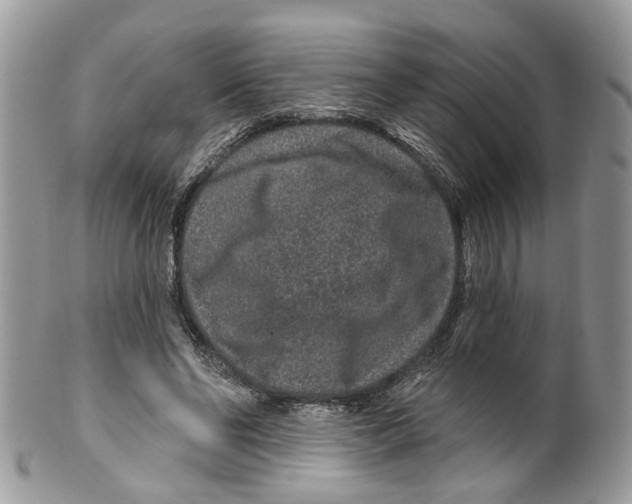 X0000099500494200806051126