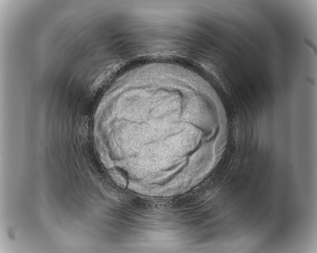 X0000099500495200806051126