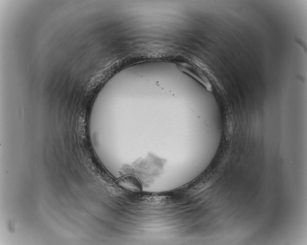 X0000099500497200806051126