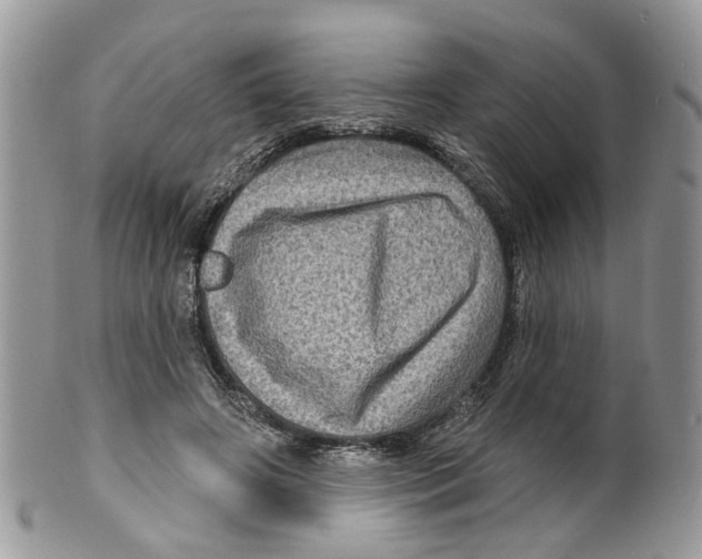 X0000099500498200806051126