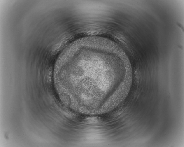 X0000099500499200806051126