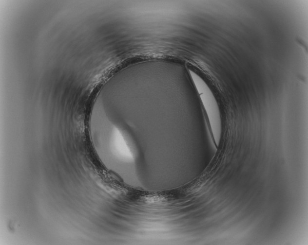 X0000099500500200806051126